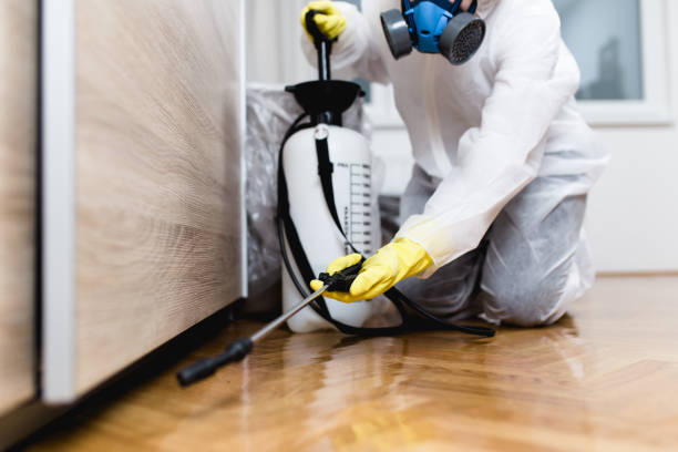 Best Flea Control Services  in Port Neches, TX