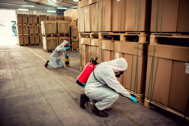 Best Cockroach Control Services  in Port Neches, TX