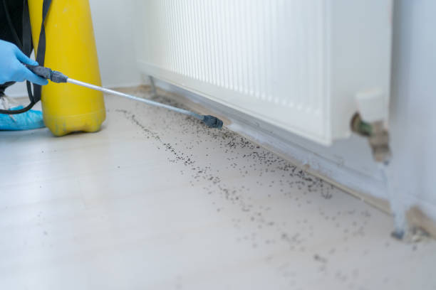 Best Pest Control for Restaurants  in Port Neches, TX